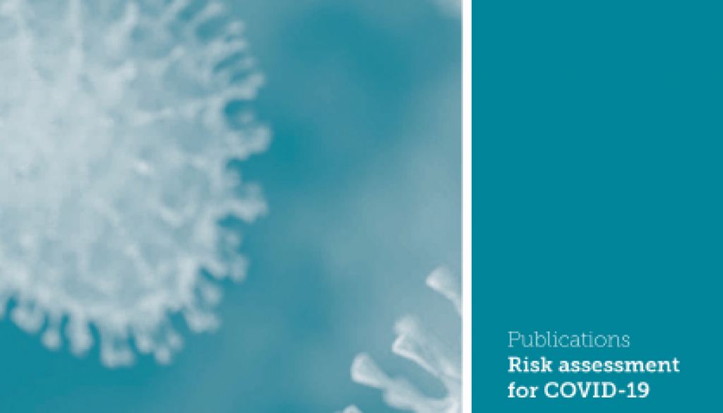 New Guide on Risk Assessment for COVID-19 Published