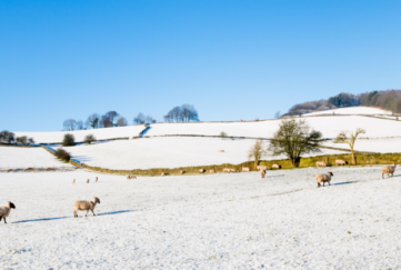 Advice for keeping village halls safe this winter